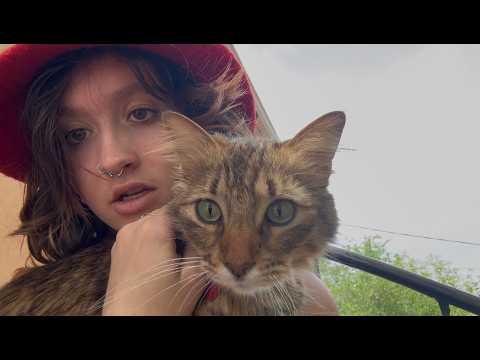 ASMR eavesdropping outside with kitty meow meow