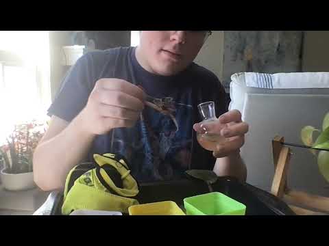 Eclectic ASMR | Voice Over of My Plant Care Day (June Flowers' Video #2)