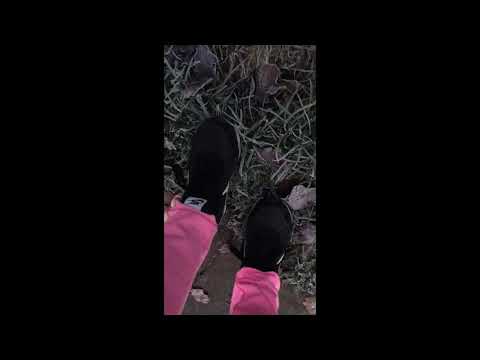 ASMR~WALK ON LEAVES 🍁