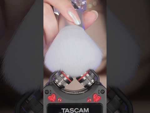 #asmr Tingle Like Never Before / TASCAM DR-40XP #shorts #asmrshorts