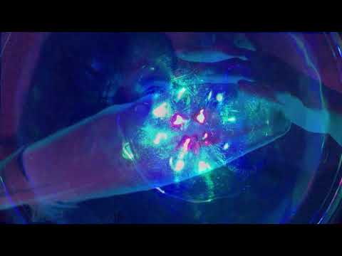ASmR Hypnosis Countdown
