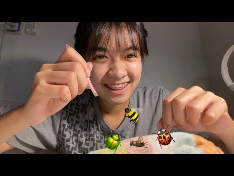 ASMR Bugs searching 🪲🐝