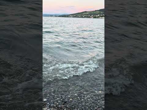 ASMR Nature | Bodensee Switzerland #asmr #asmrnature #switzerland #schweiz #bodensee