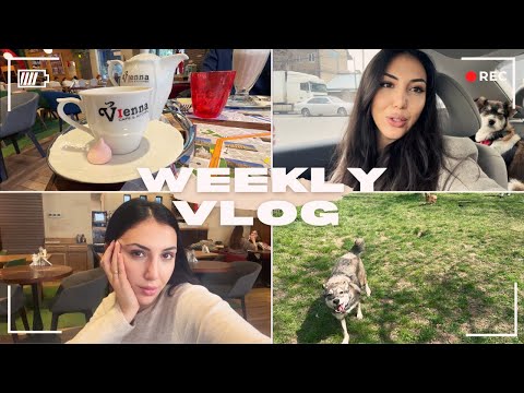 WEEKLY VLOG : une semaine avec moi -  travaux à la maison, filage, spectacle et malade encore...