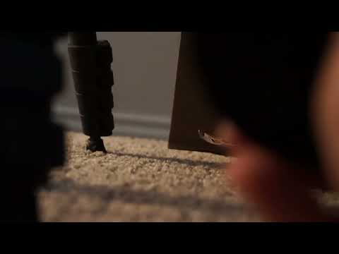 ASMR Finding an old camera in a box RP (indistinct whispering)
