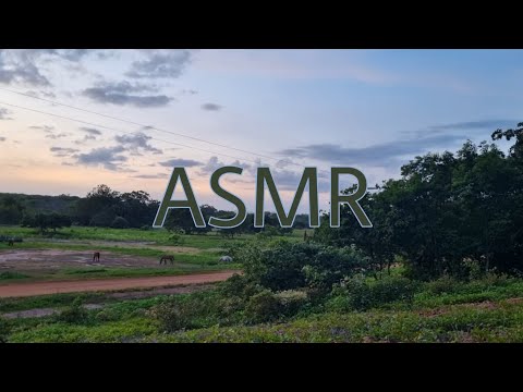 ASMR🍃SONS DA NATUREZA🐦 (CASEIRINHO)