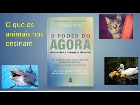 O PODER DO AGORA - Eckhart Tolle [O que os animais ensinam]