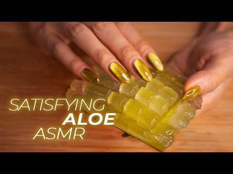 ASMR The Most Satisfying Aloe Triggers for Sleep(No Talking)