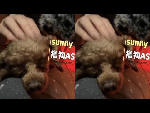 KC Sleep Aid: Petting Dog ASMR, Enjoyable & Sound Sleep