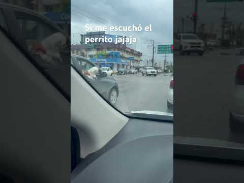 Si me escuchó