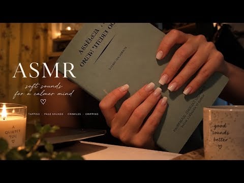 LOFI ASMR | Gentle Tapping, Gripping & Page, Book Sounds for Sleep 