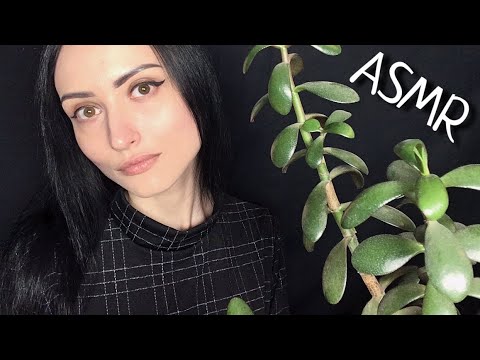 АСМР Ты - Домашнее Растение🌿Позабочусь о Тебе 👄Шепот, Персональное внимание, Звуки Кисточки, ASMR