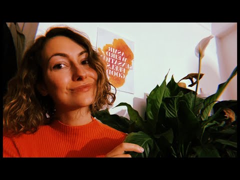 ASMR Soft Spoken, Live & Lofi