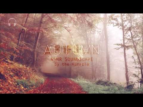 Autumn [ASMR] ★ Soundscape for relaxation ★  [Binaural] [Multilayer] [no talking]