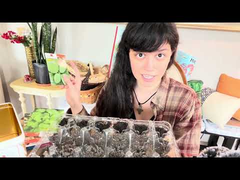 ASMR~ Planting Herbs, Flowers, and Beans in an Egg Carton 𖧧