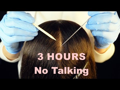 ASMR 3 HOURS ~ Gentle Scalp Check ~ Sleep, Study, Focus ~ NO TALKING Just Sounds