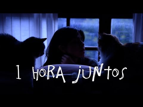 1 HORA, TÚ Y YO, conversando sobre miedos mientras afuera llueve 🌧️ LLUVIA SUAVECITA ♥ ASMR.