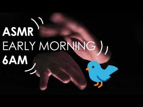 🐦ASMR🐦Woke Up Really Early For This Video HAND SOUNDS🐦