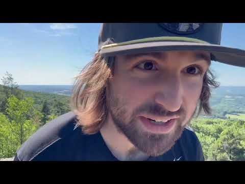 ASMR - Wind & Wasps (Weird!!) ⚠️ Jump Scares ⚠️ Loud Wind ⚠️ Literally Unwatchable ⚠️