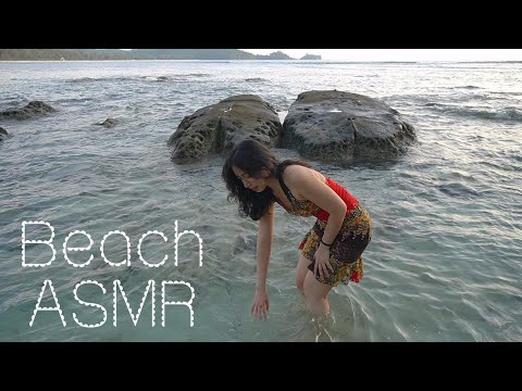 ASMR in Public || BEACH☀️🐚