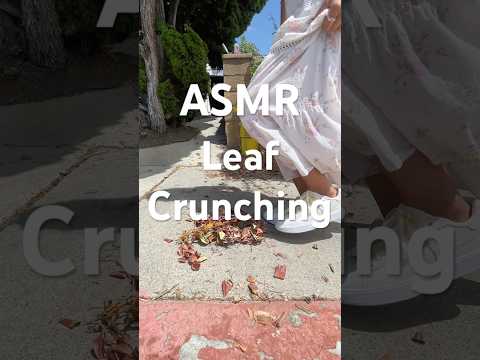 Leaf crunching sounds! 😮