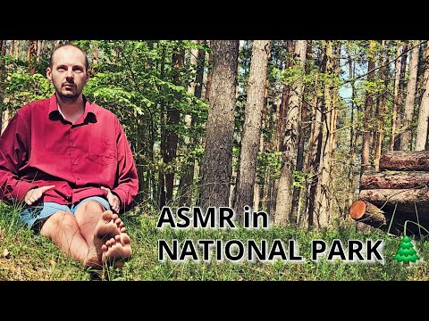 4K Deep Relaxing Nature Sounds ASMR. Tapping trees, birds singing, barefoot walking.