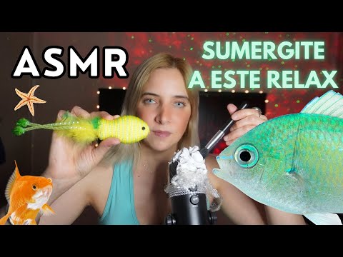 ASMR ¡¡EL MEJOR VIDEO!! 🐟 MUESTRO MIS PECES Y MI ACUARIO 🐟 100% AMBIENTADO AL MUNDO DEL OCÉANO 🐙🌊