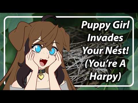 Puppy Girl Helps You Build A Nest (You're A Harpy) (You Didn't Ask For This) [F4F] [TF4F]