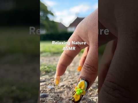 Long video is up ☀️🤌🏻 #natureasmr #asmrshorts