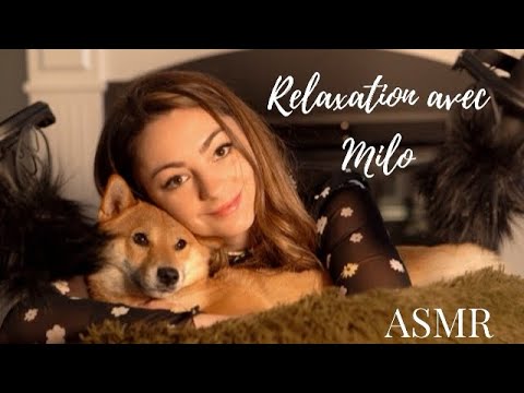 ♡ ASMR  -  Moment de relaxation avec mon Shiba inu (Brushing)♡