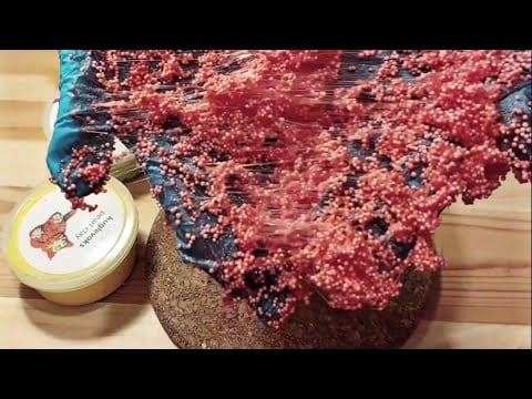 |Magyar ASMR| No talking ASMR|- Slime/gyurma vágás forró késsel🗡🙈