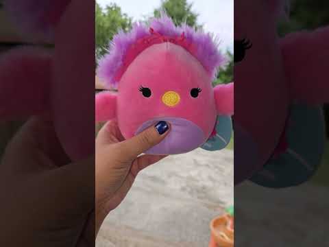 Asmr Hand Movements no talking