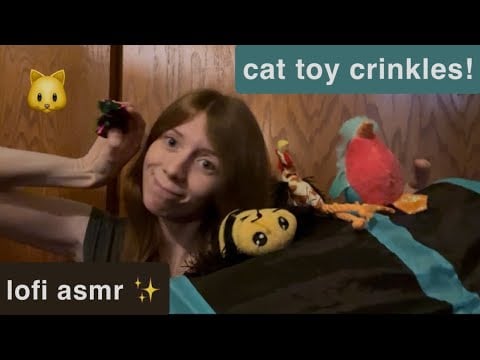 asmr crinkly cat toys & tubes!