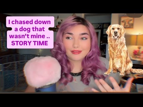 I chased down two dogs in the rain ☔️ STORY TIME ASMR 