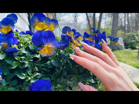 ASMR! SPRING Tingles! 🌸🌺🌹🌻🥀