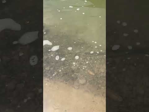 ASMR near waterfall #relax #asmr #natureasmr