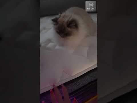 ASMR Helix Sleep 😴 Best Mattress 2026 (Cat Approved Cozy)