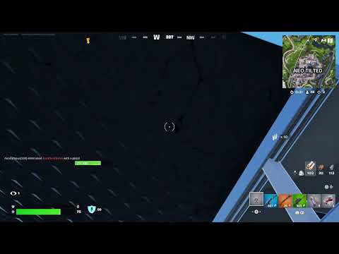 Dog Play's Fortnite.