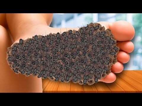 ASMR Foot Pampering For Deep Sleep | ASMR Relaxation & Tingle Therapy