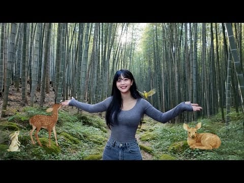 Ahopsan Forest : Nine Valleys Mountain ASMR