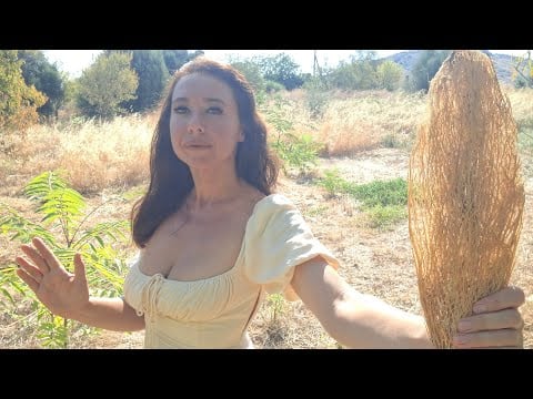 ASMR | ENERGY HEALING: This Dry Cactus Leaf is Going to Brush Away Your Worries