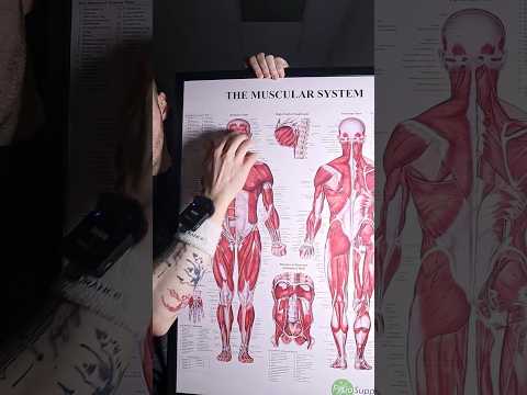 ASMR Triggers At My Massage Clinic #asmr #shorts