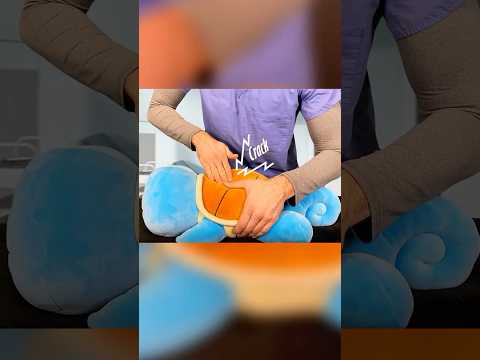 Chiropractic adjustment on you POKEMON |  #asmr #pokemon #chiropractic #chiropractorasmr
