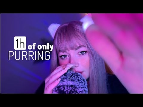 ASMR 1 Hour Of Best PURRING sounds in 2024