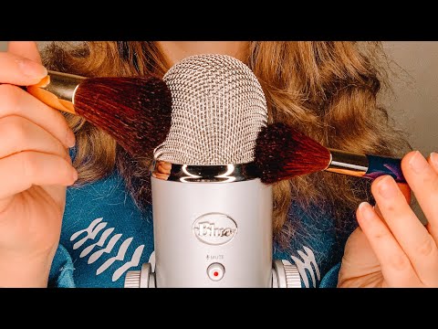 ASMR Mic Brushing