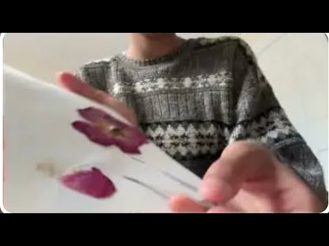 asmr revealing my preserved flowers 🌹🌸🥀
