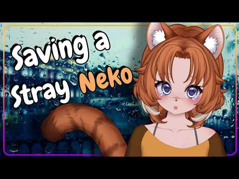 Stray Neko Doesn't Trust you... Yet