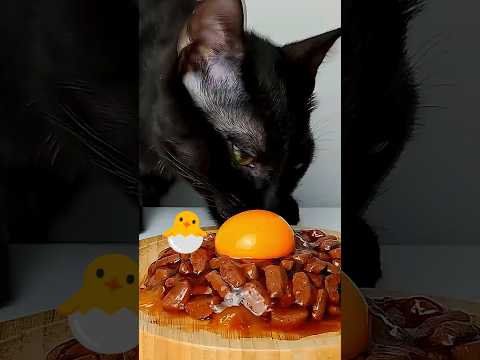cat asmr mukbang 😻 #ASMR #eating #shorts