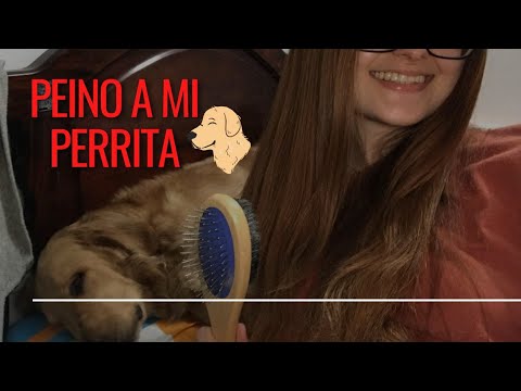 ASMR COLOMBIANO // peinando a mi perrita 🐶