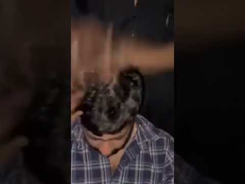#streetmassage #relaxation #streesrelief #barber #lahoribarber #pakistanistyle #massagetherapy